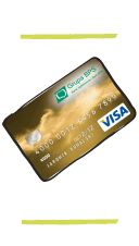Karta Visa Business Debetowa